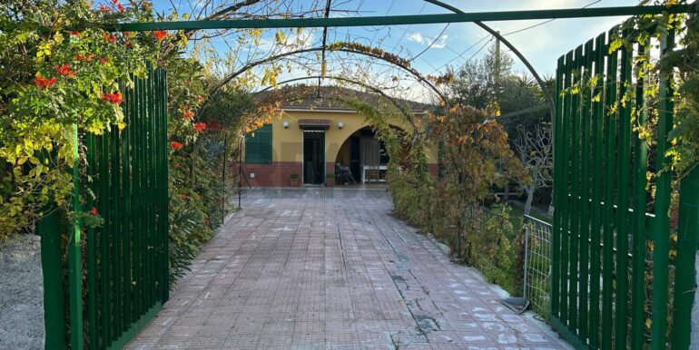 20251209183750-1008526-20