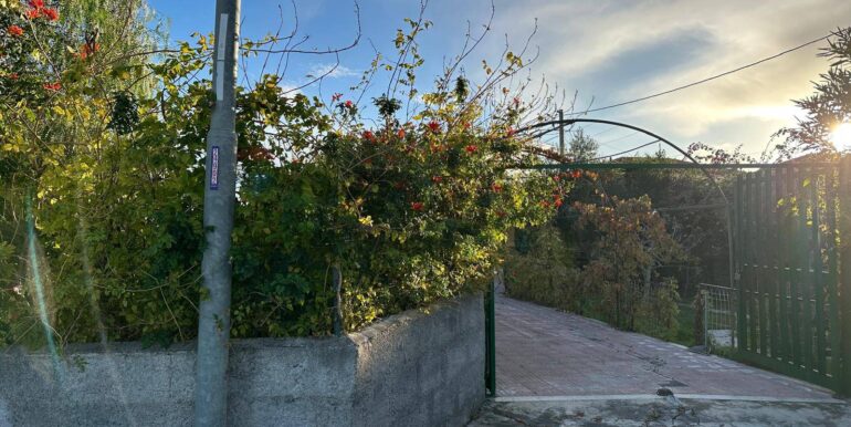 20251209183752-1008526-21