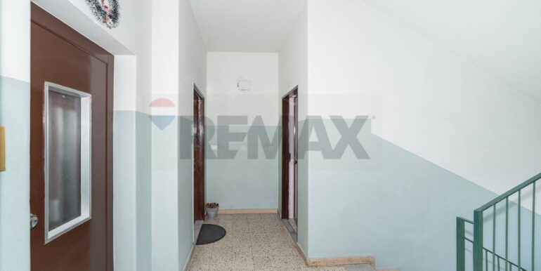 20251209195005-1008550-1