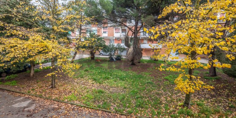 20251210104604-1002233-20