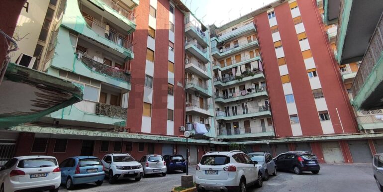 2025121084824-1008569-0