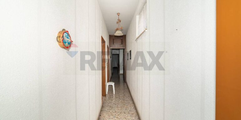 2025121121833-1009894-4