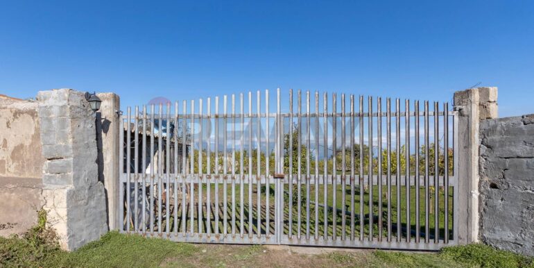 20251212104254-1010140-1