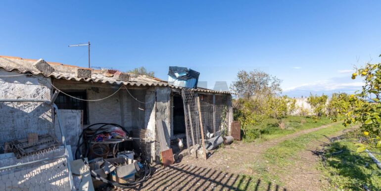 20251212104258-1010140-2