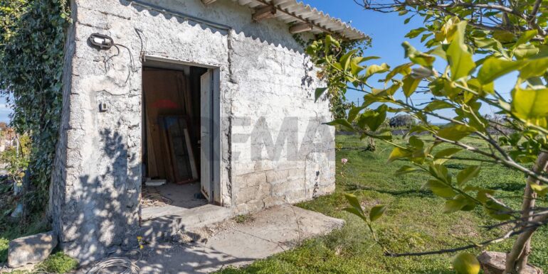 20251212104311-1010140-6