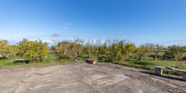 20251212104340-1010140-16