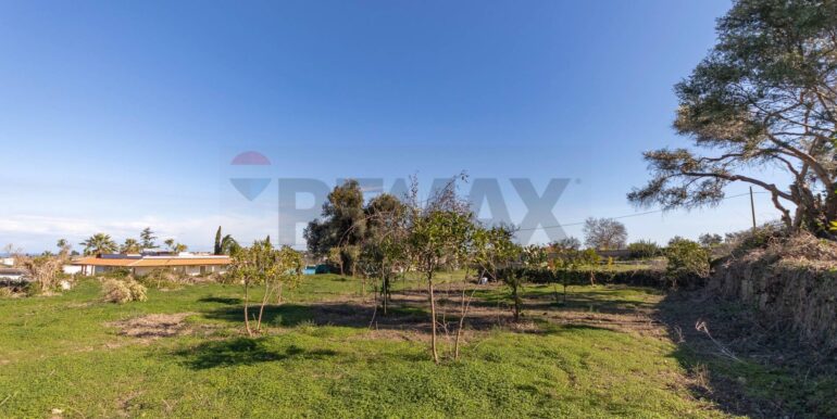 20251212104349-1010140-19