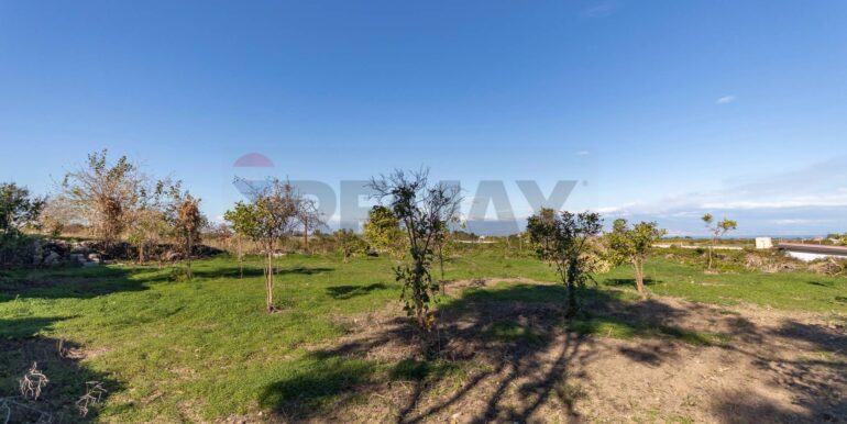 20251212104352-1010140-20