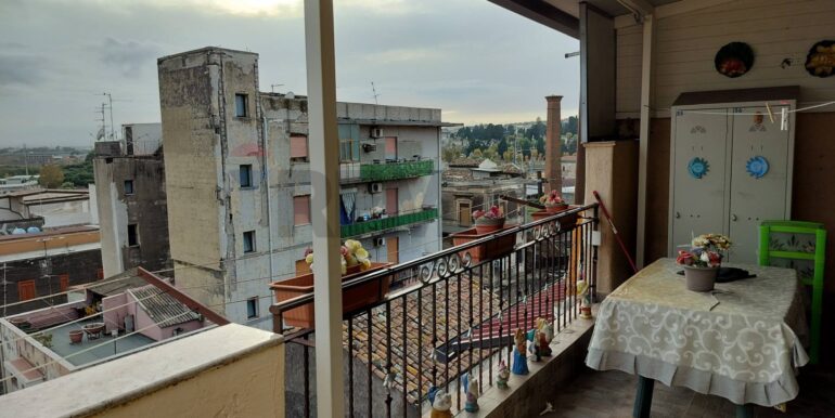 20251212143146-1010263-5