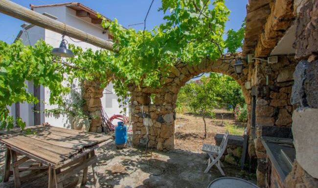 2025121245539-1010121-4