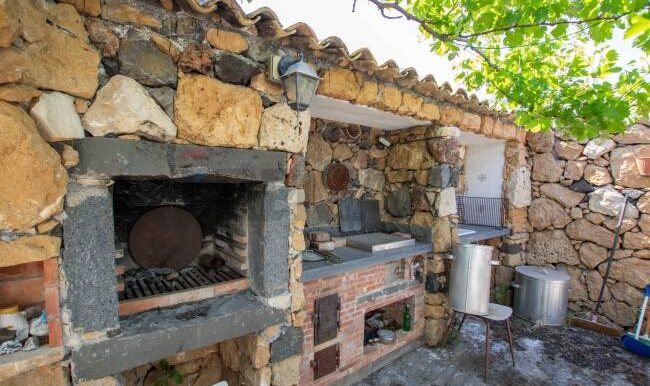 2025121245547-1010121-8