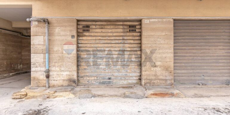 2025121294420-1006117-1