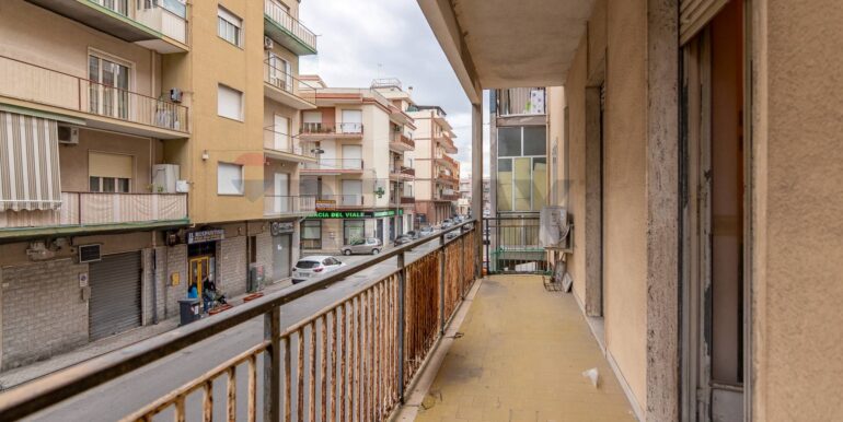 2025121294424-1006117-2