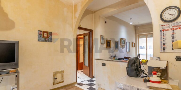 2025121294432-1006117-5