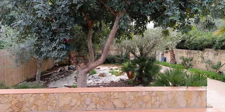 20251217181137-1011215-1