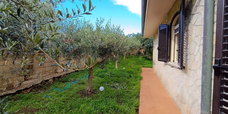 20251217181205-1011215-8