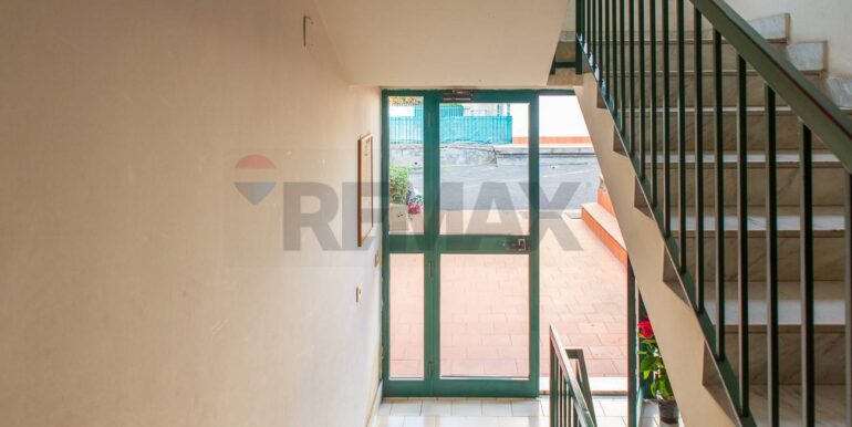 20251219105938-1010381-9