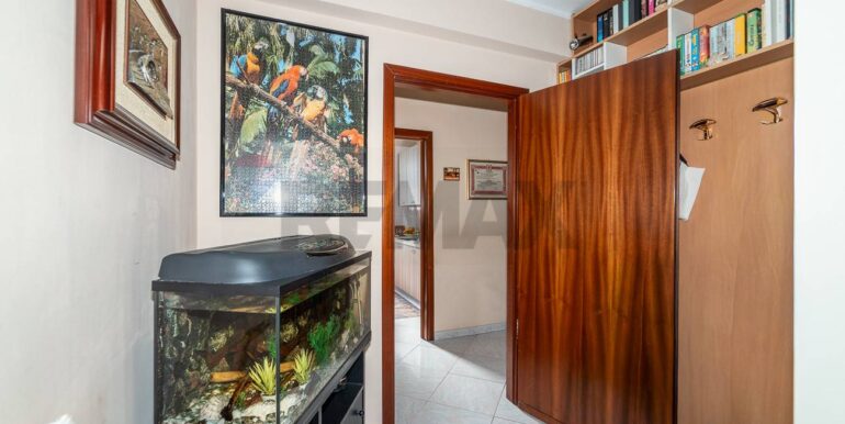 2025121910855-1003479-4