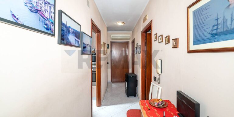 2025121910907-1003479-7