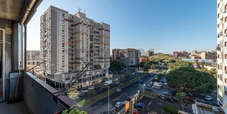 2025121910923-1003479-12