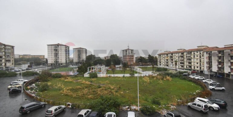 20251219121527-1011442-6