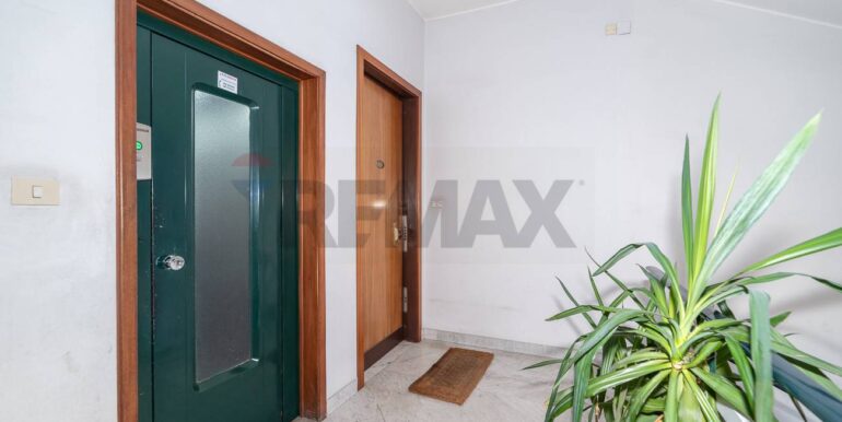 20251221115517-1011577-1