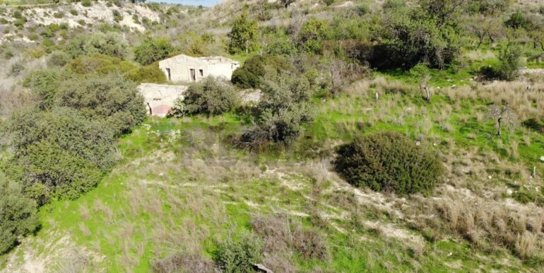 2025122205518-1011587-1