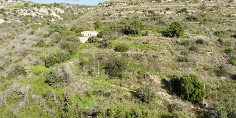 2025122205524-1011587-2