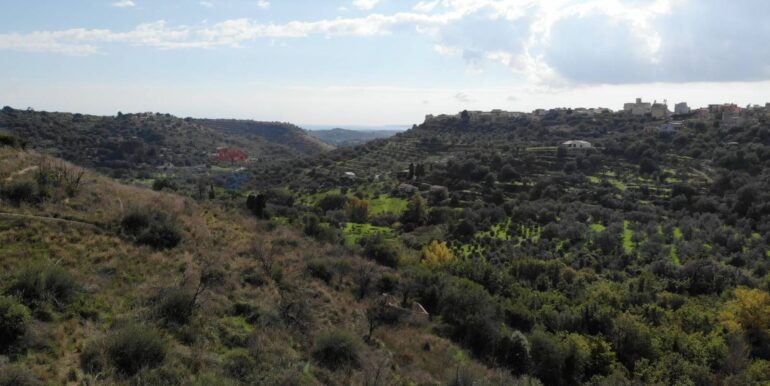 2025122205533-1011587-4