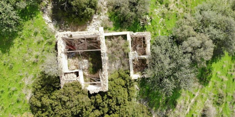 2025122205539-1011587-5