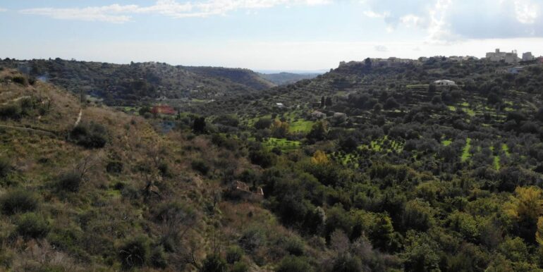 2025122205543-1011587-6