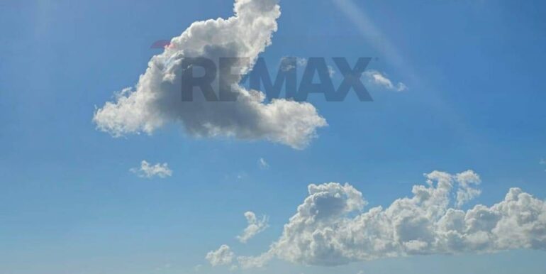 2025122205545-1011587-7