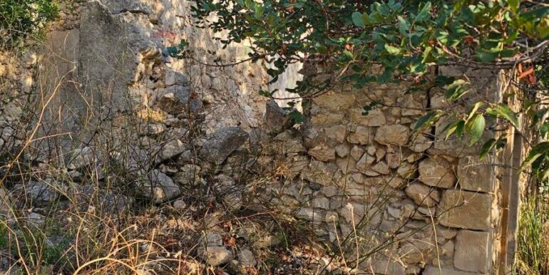 2025122205550-1011587-9