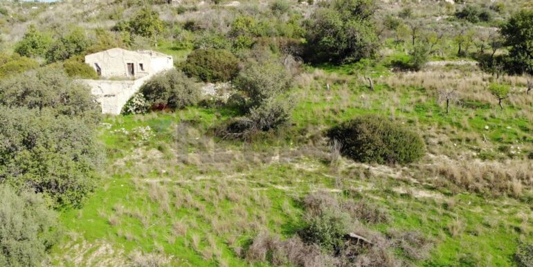 2025122205554-1011587-10