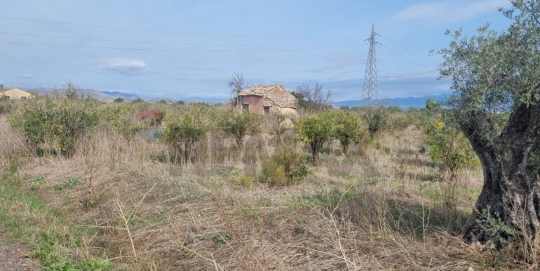 20251222115636-1011603-2