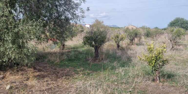 20251222115639-1011603-3