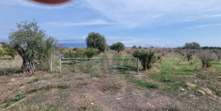 20251222115646-1011603-5