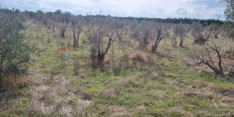 20251222115652-1011603-7