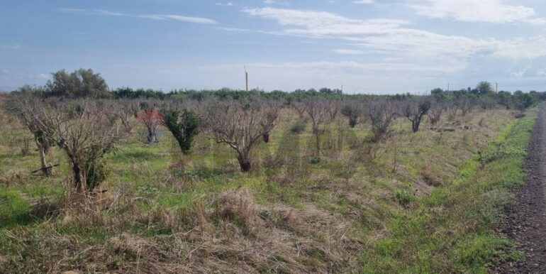 20251222115655-1011603-8