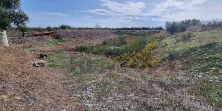 20251222115657-1011603-9