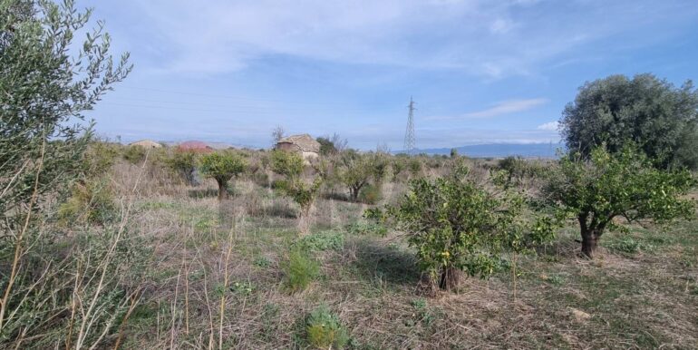 20251222115701-1011603-10