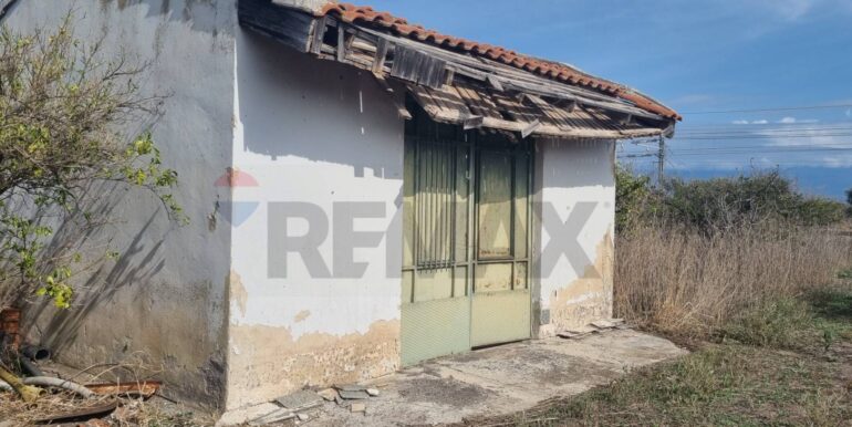 20251222115704-1011603-11