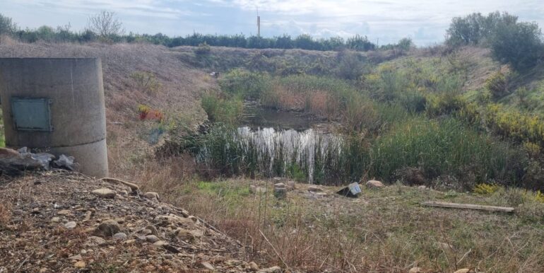 20251222115707-1011603-12