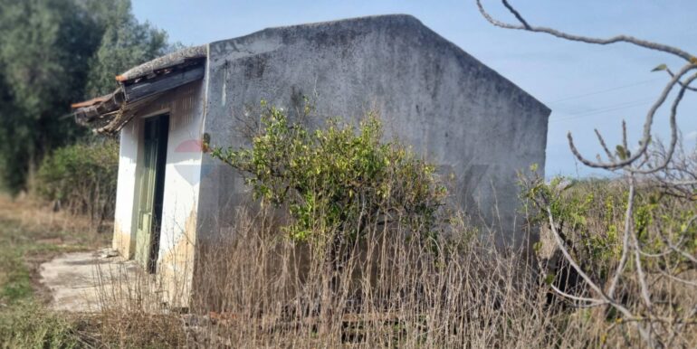 20251222115710-1011603-13