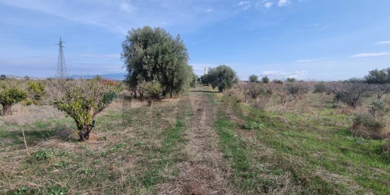 20251222115712-1011603-14