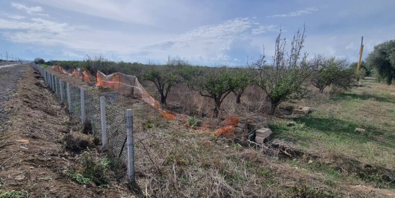 20251222115721-1011603-17