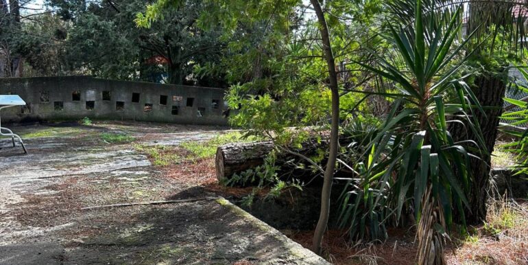 20251222120524-1011641-1