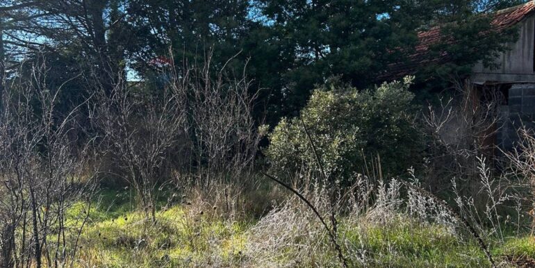 20251222120533-1011641-3