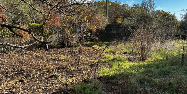 20251222120538-1011641-4