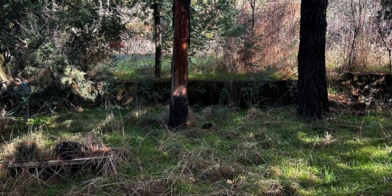 20251222120555-1011641-8